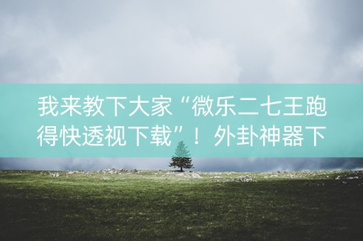 我来教下大家“微乐二七王跑得快透视下载”！外卦神器下载安装（确实真的有挂)-知乎
