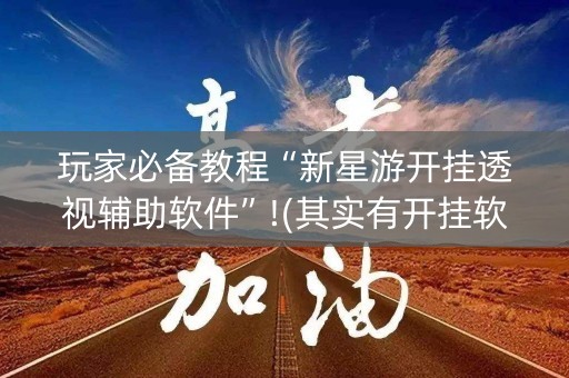 玩家必备教程“新星游开挂透视辅助软件”!(其实有开挂软件)-知乎