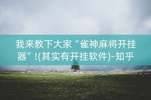 我来教下大家“雀神麻将开挂器”!(其实有开挂软件)-知乎