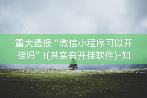重大通报“微信小程序可以开挂吗”!(其实有开挂软件)-知乎