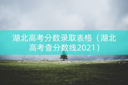 湖北高考分数录取表格（湖北高考查分数线2021）