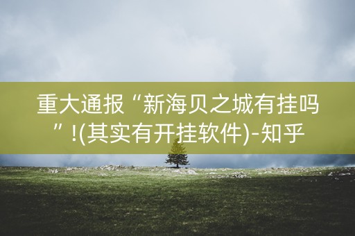 重大通报“新海贝之城有挂吗”!(其实有开挂软件)-知乎