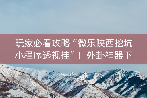 玩家必看攻略“微乐陕西挖坑小程序透视挂”！外卦神器下载安装（确实真的有挂)-知乎