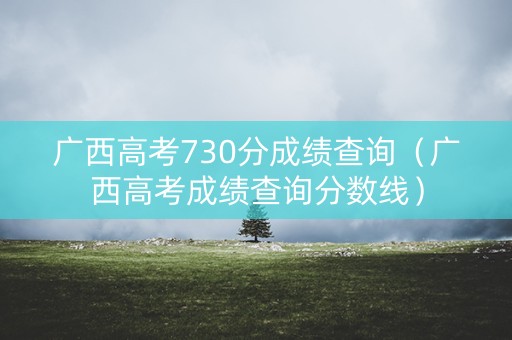 广西高考730分成绩查询（广西高考成绩查询分数线）