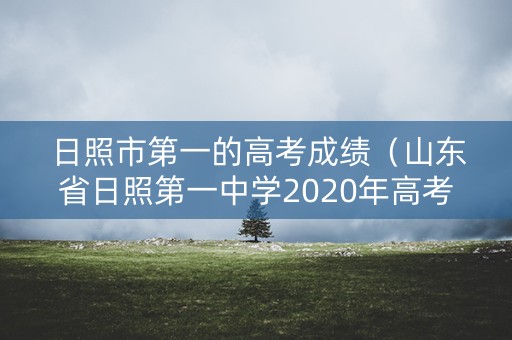 日照市第一的高考成绩（山东省日照第一中学2020年高考）