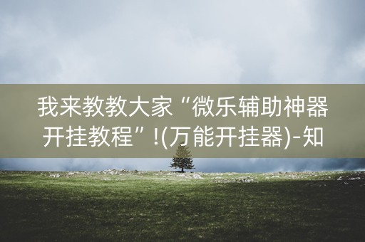 我来教教大家“微乐辅助神器开挂教程”!(万能开挂器)-知乎