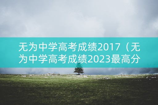 无为中学高考成绩2017（无为中学高考成绩2023最高分）