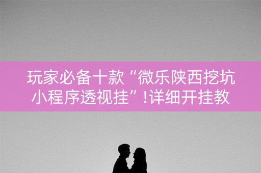 玩家必备十款“微乐陕西挖坑小程序透视挂”!详细开挂教程-知乎