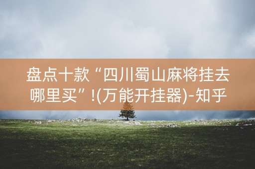 盘点十款“四川蜀山麻将挂去哪里买”!(万能开挂器)-知乎