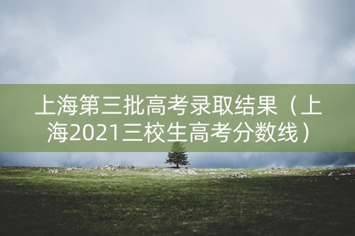 上海第三批高考录取结果（上海2021三校生高考分数线）