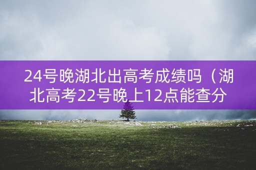 24号晚湖北出高考成绩吗（湖北高考22号晚上12点能查分吗）