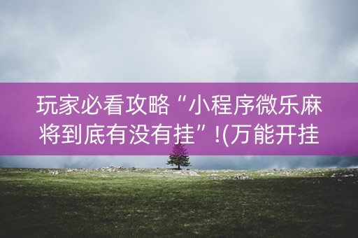 玩家必看攻略“小程序微乐麻将到底有没有挂”!(万能开挂器)-知乎
