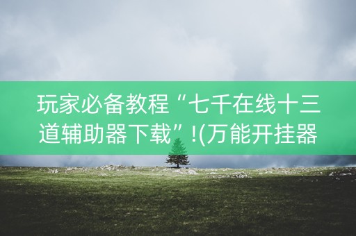 玩家必备教程“七千在线十三道辅助器下载”!(万能开挂器)-知乎
