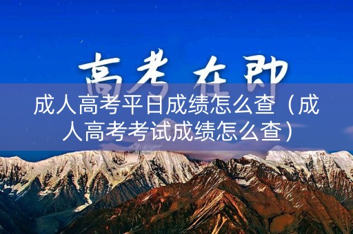 成人高考平日成绩怎么查（成人高考考试成绩怎么查）