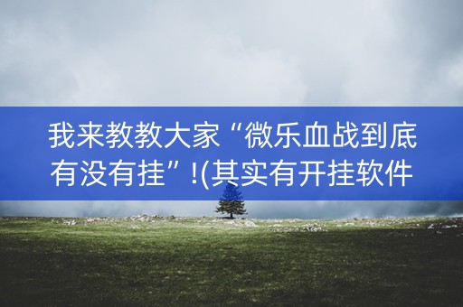 我来教教大家“微乐血战到底有没有挂”!(其实有开挂软件)-知乎