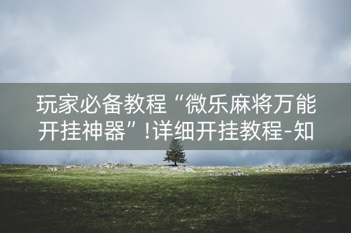 玩家必备教程“微乐麻将万能开挂神器”!详细开挂教程-知乎