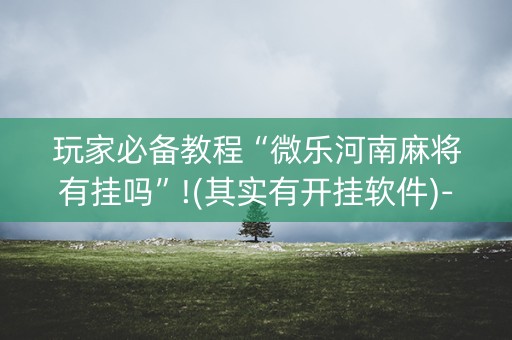 玩家必备教程“微乐河南麻将有挂吗”!(其实有开挂软件)-知乎