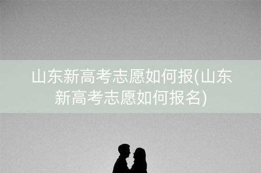 山东新高考志愿如何报(山东新高考志愿如何报名)