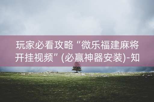 玩家必看攻略“微乐福建麻将开挂视频”(必赢神器安装)-知乎