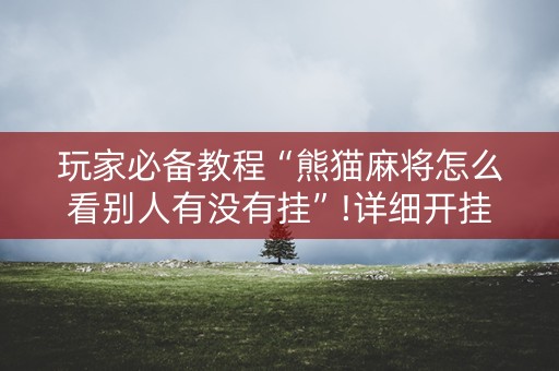 玩家必备教程“熊猫麻将怎么看别人有没有挂”!详细开挂教程-知乎