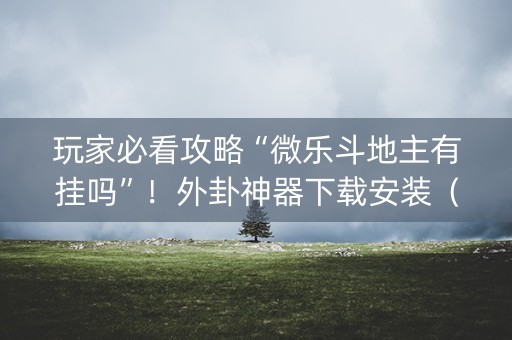 玩家必看攻略“微乐斗地主有挂吗”！外卦神器下载安装（确实真的有挂)-知乎