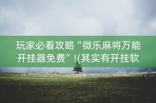 玩家必看攻略“微乐麻将万能开挂器免费”!(其实有开挂软件)-知乎
