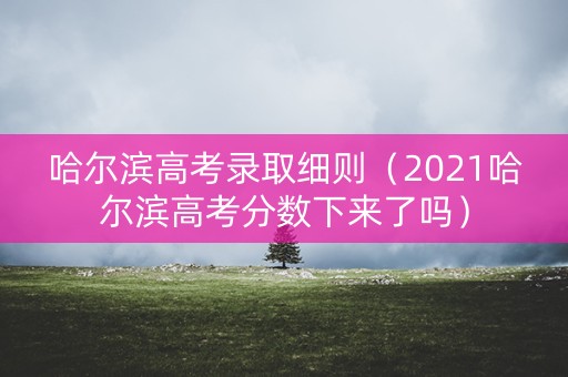 哈尔滨高考录取细则（2021哈尔滨高考分数下来了吗）