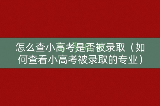 怎么查小高考是否被录取（如何查看小高考被录取的专业）