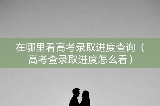在哪里看高考录取进度查询（高考查录取进度怎么看）