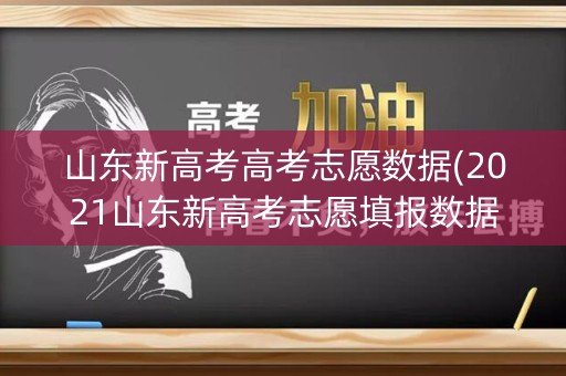 山东新高考高考志愿数据(2021山东新高考志愿填报数据)