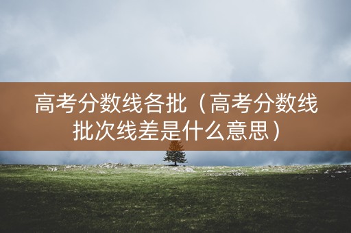 高考分数线各批（高考分数线批次线差是什么意思）