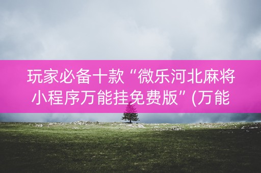 玩家必备十款“微乐河北麻将小程序万能挂免费版”(万能器通用版)-知乎