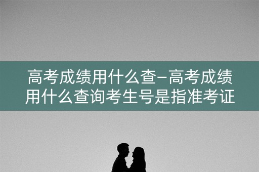 高考成绩用什么查—高考成绩用什么查询考生号是指准考证号还是考生号