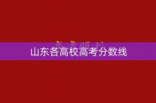 山东各高校高考分数线