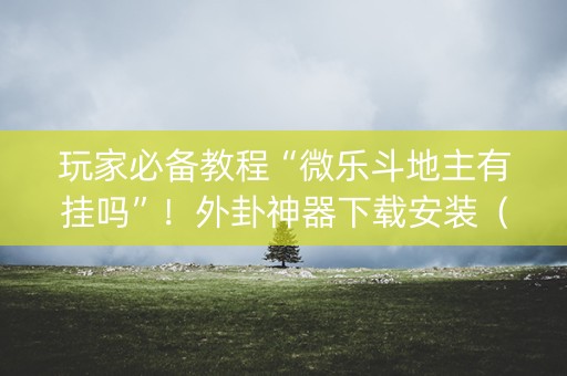 玩家必备教程“微乐斗地主有挂吗”！外卦神器下载安装（确实真的有挂)-知乎