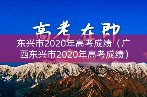 东兴市2020年高考成绩（广西东兴市2020年高考成绩）
