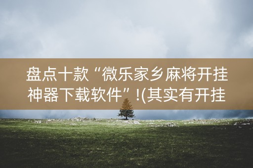 盘点十款“微乐家乡麻将开挂神器下载软件”!(其实有开挂软件)-知乎