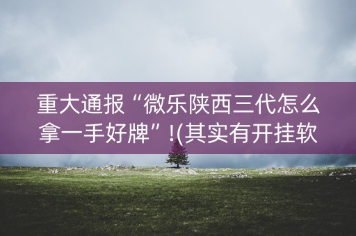 重大通报“微乐陕西三代怎么拿一手好牌”!(其实有开挂软件)-知乎