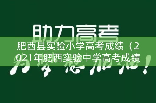 肥西县实验小学高考成绩（2021年肥西实验中学高考成绩）