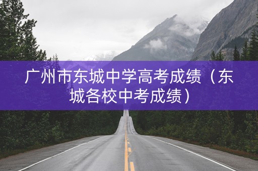 广州市东城中学高考成绩（东城各校中考成绩）