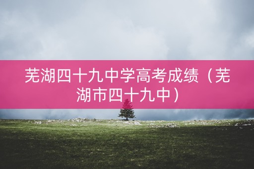芜湖四十九中学高考成绩（芜湖市四十九中）