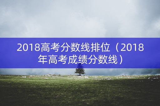 2018高考分数线排位（2018年高考成绩分数线）