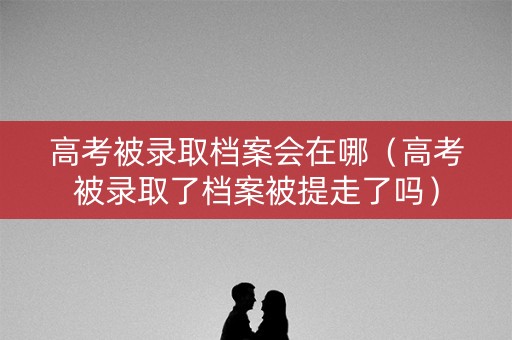 高考被录取档案会在哪（高考被录取了档案被提走了吗）