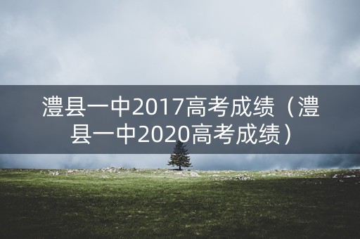 澧县一中2017高考成绩（澧县一中2020高考成绩）