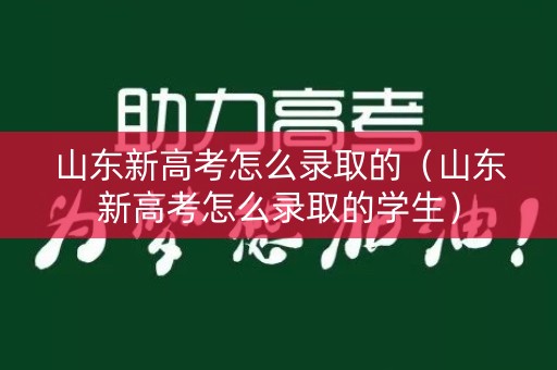 山东新高考怎么录取的（山东新高考怎么录取的学生）