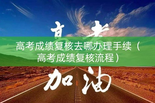 高考成绩复核去哪办理手续（高考成绩复核流程）