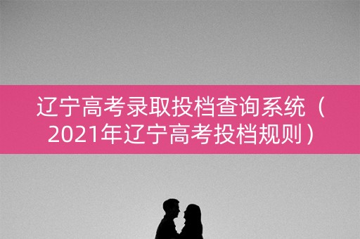 辽宁高考录取投档查询系统（2021年辽宁高考投档规则）