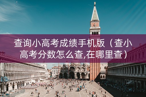 查询小高考成绩手机版（查小高考分数怎么查,在哪里查）
