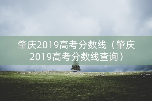 肇庆2019高考分数线（肇庆2019高考分数线查询）