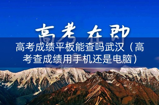 高考成绩平板能查吗武汉（高考查成绩用手机还是电脑）